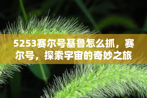 5253赛尔号基鲁怎么抓，赛尔号，探索宇宙的奇妙之旅