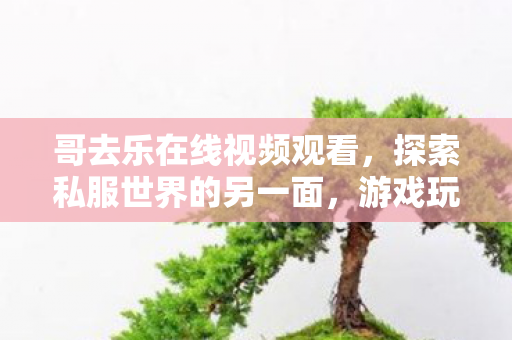 哥去乐在线视频观看，探索私服世界的另一面，游戏玩家的自由与局限