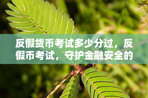 反假货币考试多少分过，反假币考试，守护金融安全的防线