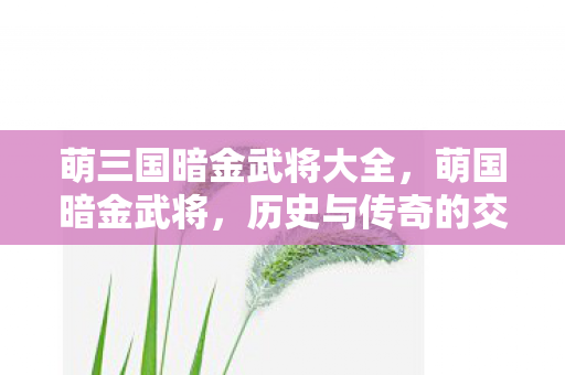 萌三国暗金武将大全，萌国暗金武将，历史与传奇的交织