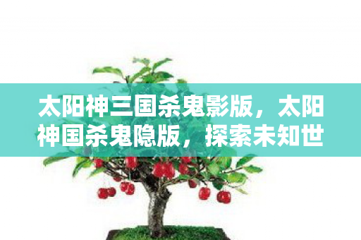 太阳神三国杀鬼影版，太阳神国杀鬼隐版，探索未知世界的奇幻之旅