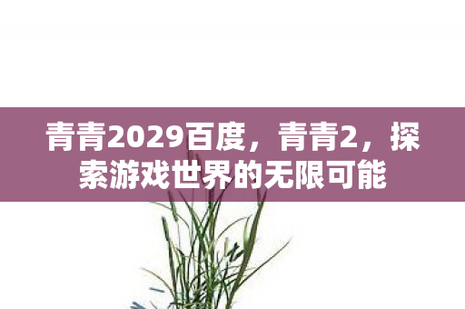 青青2029百度，青青2，探索游戏世界的无限可能