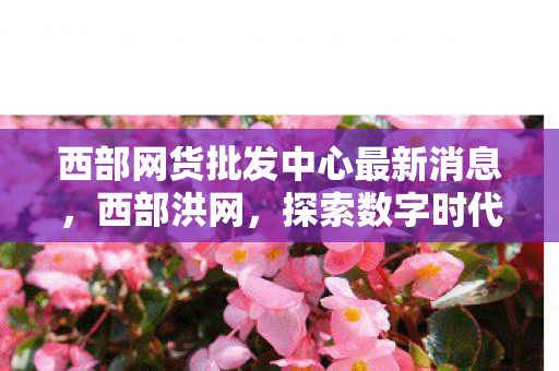 西部网货批发中心最新消息，西部洪网，探索数字时代的西部机遇