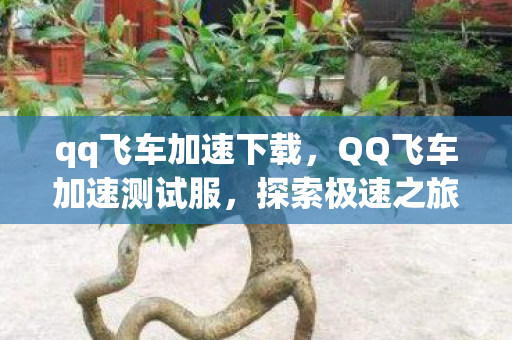 qq飞车加速下载，QQ飞车加速测试服，探索极速之旅的无限可能