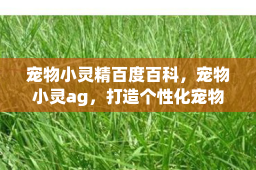 宠物小灵精百度百科，宠物小灵ag，打造个性化宠物养成体验