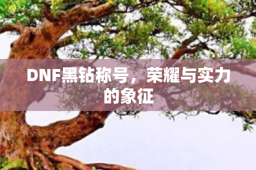 DNF黑钻称号,荣耀与实力的象征 DNF黑钻称号,荣耀与实力的象征