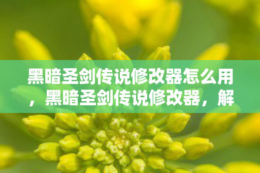 黑暗圣剑传说修改器怎么用，黑暗圣剑传说修改器，解锁无限可能的冒险之旅