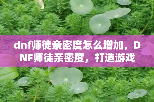 dnf师徒亲密度怎么增加，DNF师徒亲密度，打造游戏中的温馨纽带