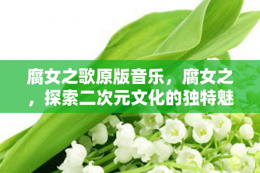 腐女之歌原版音乐，腐女之，探索二次元文化的独特魅力