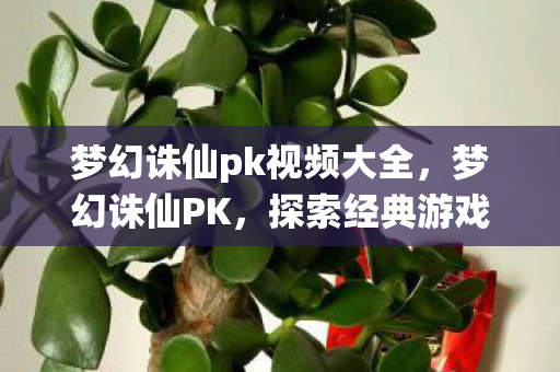 梦幻诛仙pk视频大全，梦幻诛仙PK，探索经典游戏的多样玩法与策略
