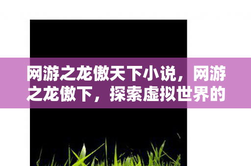 网游之龙傲天下小说，网游之龙傲下，探索虚拟世界的无限可能