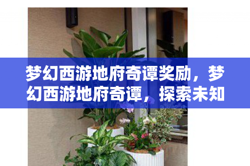 梦幻西游地府奇谭奖励，梦幻西游地府奇谭，探索未知世界的奇幻之旅