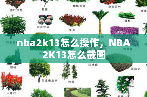 nba2k13怎么操作，NBA2K13怎么截图