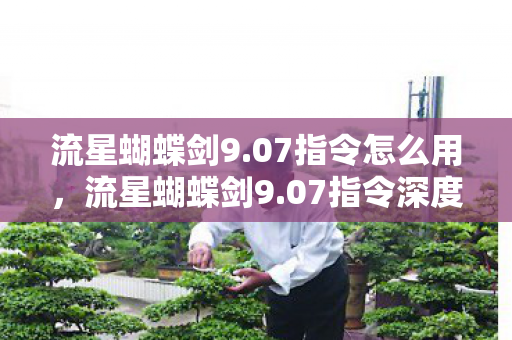 流星蝴蝶剑9.07指令怎么用，流星蝴蝶剑9.07指令深度解析，掌握核心，玩转江湖