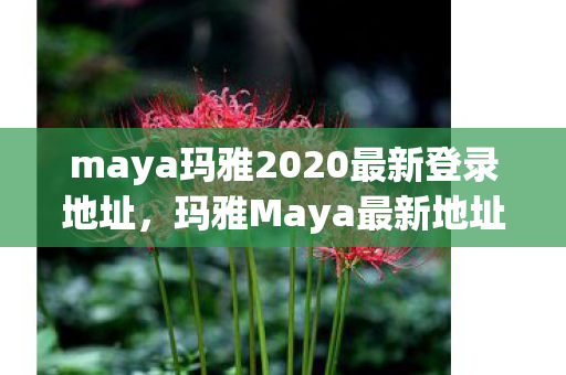 maya玛雅2020最新登录地址，玛雅Maya最新地址，探索创意无限的新平台