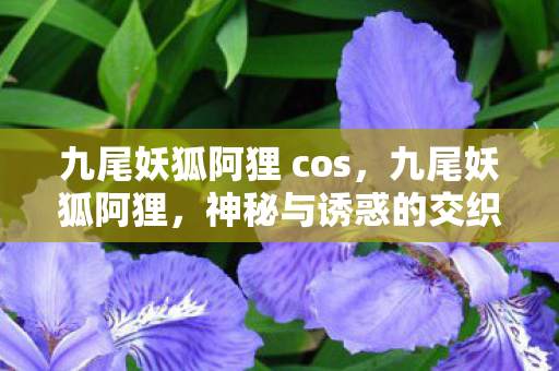 九尾妖狐阿狸 cos，九尾妖狐阿狸，神秘与诱惑的交织