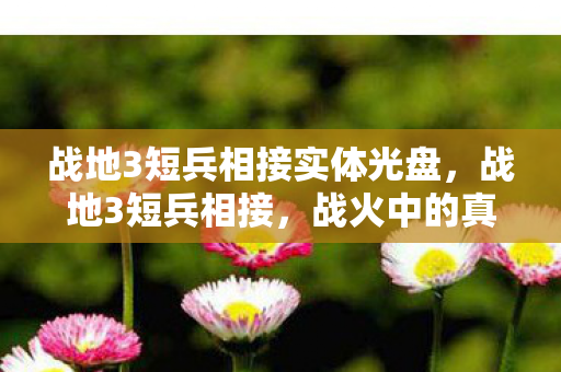 战地3短兵相接实体光盘，战地3短兵相接，战火中的真实与虚拟交织