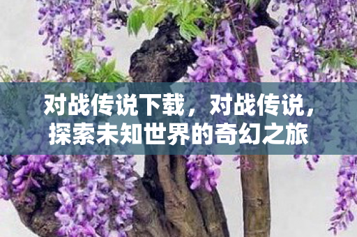 对战传说下载，对战传说，探索未知世界的奇幻之旅