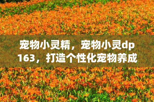 宠物小灵精，宠物小灵dp163，打造个性化宠物养成体验