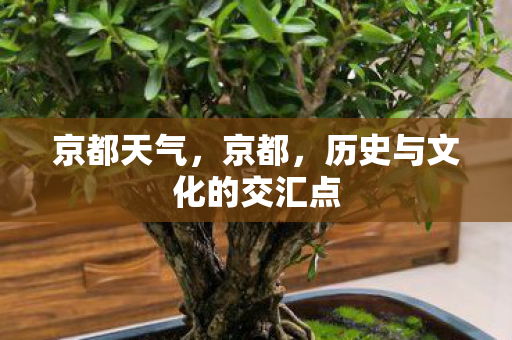 京都天气，京都，历史与文化的交汇点