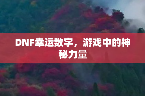 DNF幸运数字，游戏中的神秘力量