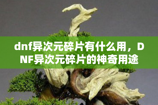 dnf异次元碎片有什么用，DNF异次元碎片的神奇用途