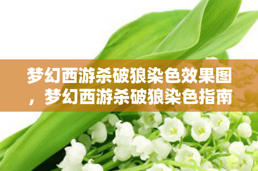 梦幻西游杀破狼染色效果图，梦幻西游杀破狼染色指南，打造个性角色，畅游三界