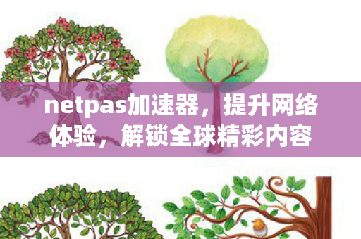 netpas加速器，提升网络体验，解锁全球精彩内容
