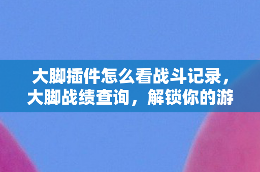 大脚插件怎么看战斗记录，大脚战绩查询，解锁你的游戏成就新视角