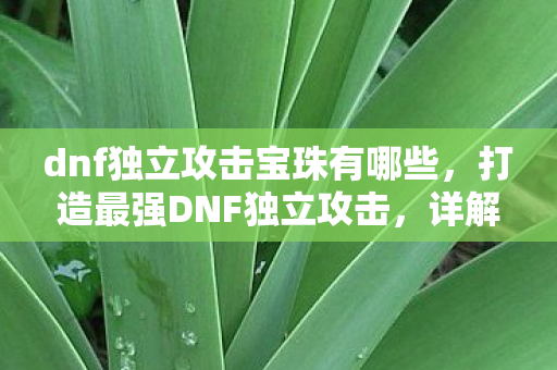dnf独立攻击宝珠有哪些，打造最强DNF独立攻击，详解顶级宝珠的选择与搭配
