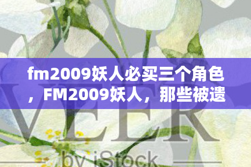 fm2009妖人必买三个角色，FM2009妖人，那些被遗忘的足球天才