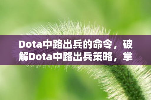Dota中路出兵的命令，破解Dota中路出兵策略，掌握节奏，掌控战局