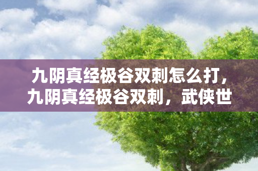 九阴真经极谷双刺怎么打，九阴真经极谷双刺，武侠世界的双绝技艺