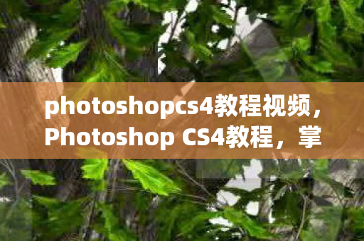 photoshopcs4教程视频，Photoshop CS4教程，掌握设计新技能