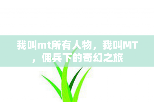 我叫mt所有人物，我叫MT，佣兵下的奇幻之旅
