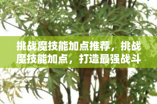 挑战魔技能加点推荐，挑战魔技能加点，打造最强战斗力的策略指南