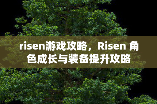 risen游戏攻略，Risen 角色成长与装备提升攻略