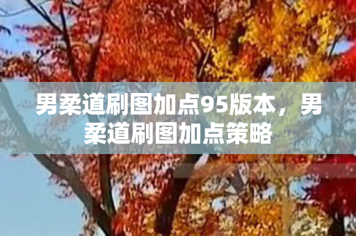 男柔道刷图加点95版本，男柔道刷图加点策略