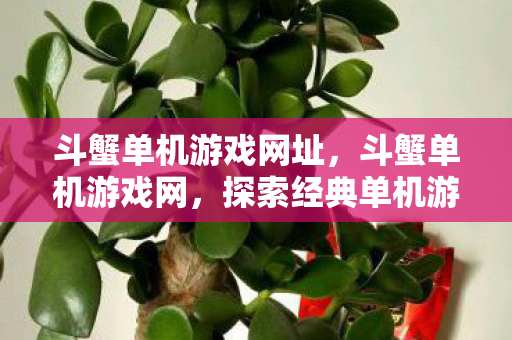 斗蟹单机游戏网址，斗蟹单机游戏网，探索经典单机游戏的魅力