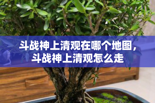 斗战神上清观在哪个地图，斗战神上清观怎么走