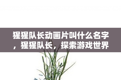猩猩队长动画片叫什么名字，猩猩队长，探索游戏世界的奇妙之旅