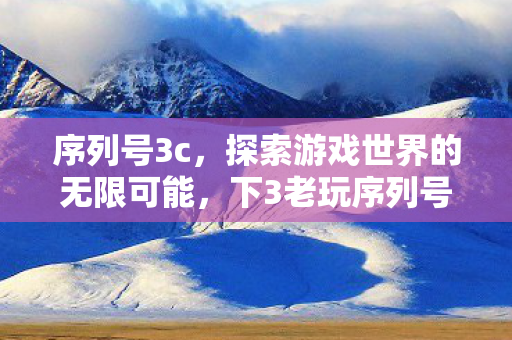 序列号3c，探索游戏世界的无限可能，下3老玩序列号与游戏乐趣的碰撞