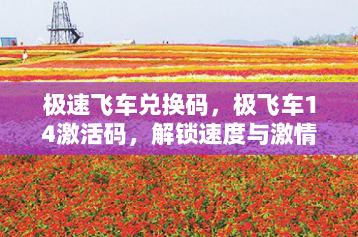 极速飞车兑换码，极飞车14激活码，解锁速度与激情的密钥