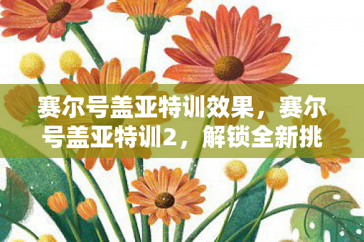 赛尔号盖亚特训效果，赛尔号盖亚特训2，解锁全新挑战，提升精灵实力
