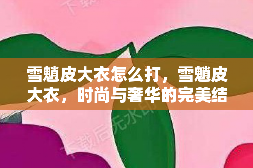 雪魈皮大衣怎么打，雪魈皮大衣，时尚与奢华的完美结合