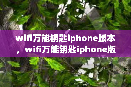 wifi万能钥匙iphone版本，wifi万能钥匙iphone版，便捷连接，安全无忧