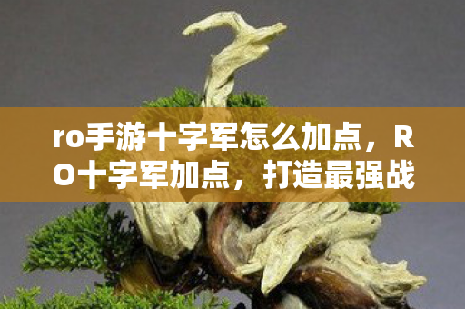 ro手游十字军怎么加点，RO十字军加点，打造最强战士的加点指南