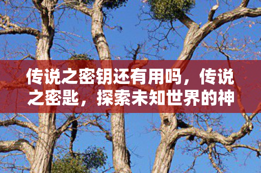 传说之密钥还有用吗，传说之密匙，探索未知世界的神秘钥匙