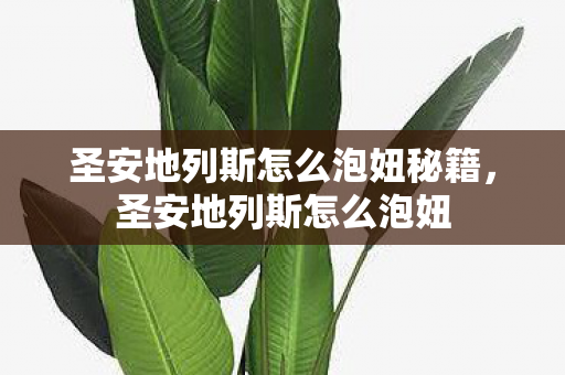 圣安地列斯怎么泡妞秘籍，圣安地列斯怎么泡妞