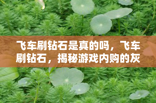 飞车刷钻石是真的吗，飞车刷钻石，揭秘游戏内购的灰色地带